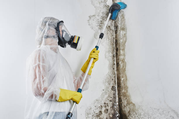 Best Residential Mold Inspection & Testing in Lawrenceville, GA